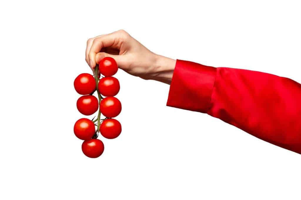 elcamaleonverde.com Cesta de Navidad Ecológica